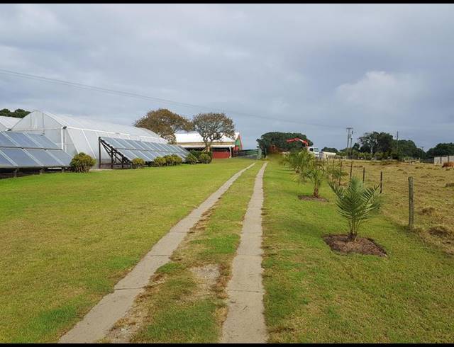 FARM FOR SALE IN HANSMOESKRAAL